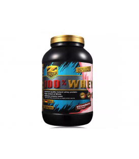 وی پروتئین 100% زد کانزپت | WHEY PROTEIN 2.27 Z KONZEPT