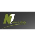  N1